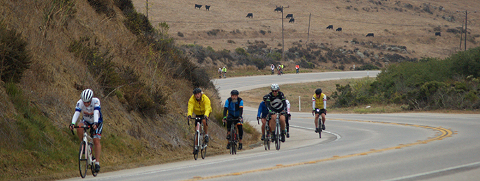 Happy Bike riders along coast.
